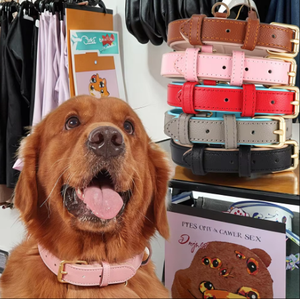 Collar de perro de cuero sólido de lujo con acolchado de neopreno y ajuste de 5 velocidades con decoración de poliéster y piel Suministros para mascotas - Product Image 2