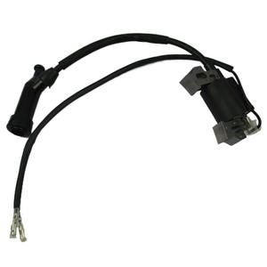Bobina de Encendido de Alto Voltaje 170F con Encendedor Incorporado para Generador de Extensor de Rango de Gasolina en Triciclos Eléctricos - Product Image 1