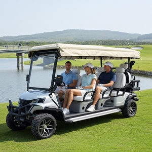 Voiturette de golf électrique BRT 7-8 places avec auvent, vitesse maximale 30 km/h, certifiée CE, autonomie 90 km+, idéale pour les sites touristiques, les hôtels et les navettes de visite. - Product Image 3