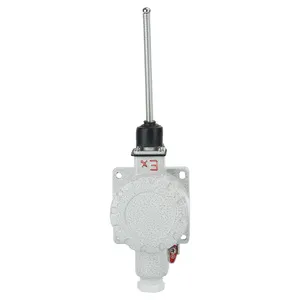 IIB IIC flexible contact Adjustable Lever Stainless Steel Actuator Travel Limit Swritch Replace Tend Limit Switch