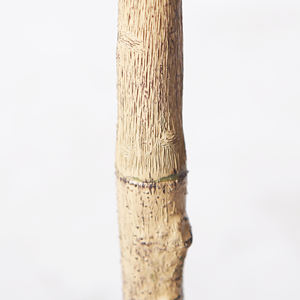 150Cm Kunstmatige Planten Faux Potplanten Japanse Andromeda <span class=keywords><strong>Indoor</strong></span> Boom Voor Kantoor Huis Woonkamer - Product Image 5