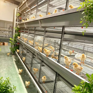 Gallinero de Acero Plegable con Ruedas y Corral, Impermeable y Galvanizado - Product Image 4