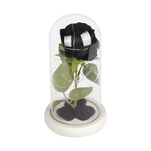 Cadeau de Saint Valentin Morthers Day Gift Galaxy Rose dans un dôme <span class=keywords><strong>en</strong></span> verre avec lumières led Vente <span class=keywords><strong>en</strong></span> gros Préservé Rose dans un dôme <span class=keywords><strong>en</strong></span> verre - Product Image 5