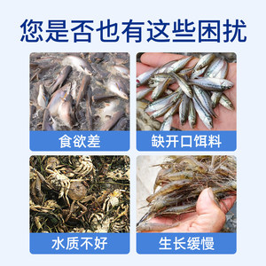 Poudre de levure aquatique 1000g pour l'aquaculture, à utiliser avec des appâts à base de levure fermentée et pour la culture des rotifères - Product Image 5