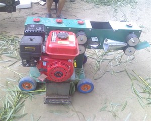 Cây Liễu Lột Máy Sallow Lột Máy Wicker Chi Nhánh Debarker - Product Image 5