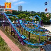 Grande montagnes russes familiales pour parc d'attractions, montagnes russes en acier palpitantes pour adultes/enfants
