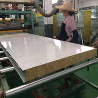 Panel dinding Sandwich Rock Wool Prefab tahan api kuat bahan bangunan isolasi panas dengan Panel logam tahan lama