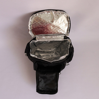 Sac à dos isotherme personnalisé pour pique-nique, modèle/marque Fujian, en polyester, utilisable toute l'année
