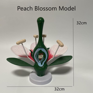 Modèle d'enseignement éducatif, modèle d'anatomie de la fleur de pêcher pour l'enseignement de la botanique et la recherche en <span class=keywords><strong>horticulture</strong></span> - Product Image 5