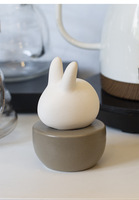 Diffuseur d'arômes sans flamme en céramique écologique personnalisé avec logo DIY, en forme de lapin ou d'oiseau, bouteille de parfum pour la maison, cadeau original