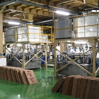 Linea di Produzione Automatica di Detersivo in Polvere, Capacità 3000-200000 T/A, Soluzione Chiavi in Mano per Fabbriche di Detergenti