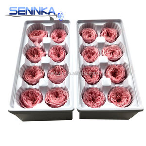 Châu Âu bán buôn bảo quản bất Rose hoa David Austin hoa hồng - Product Image 5