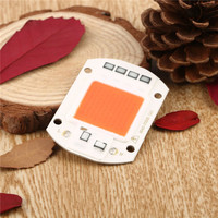 Driverless 20w 30w 50w LED Module AC COB 110v 220v Cob Led Chip for Downlights