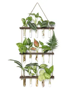 Produttore supporto per piante a 3 livelli supporto da parete per piante a strati in legno montato a parete con tubi di propagazione