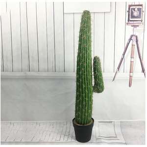 Plantes Artificielles Décoratives : Fond Végétal Personnalisé, Bouquet en Pot, Mur de <span class=keywords><strong>Cactus</strong></span>, Grandes Décorations Murales pour Intérieur, Décoration de Maison, Halloween - Product Image 4