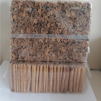 Bâton de cannelle de Ceylan de qualité supérieure, épice séchée parfumée, 100% naturelle, bâton de cannelle de Ceylan entier