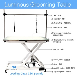 Elektrischer LED-Licht-Hundetisch, Höhenverstellbar, Hydraulisch, Klappbar, Groß, Beleuchtet, Für Tierpflege, Hunde, Edelstahl - Product Image 2