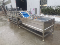 Fruit En Groente Reiniger Machine Tomaat Fruit Wasmachine