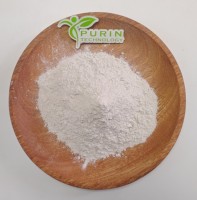 Poudre de probiotiques Bacillus Coagulans de qualité alimentaire haute pureté