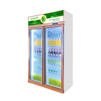 Supermarché construit en 2 portes en verre refroidisseur de boissons Pepsi réfrigérateur bouteille réfrigérateur