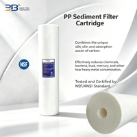 Système de filtration triple BB blanc 20x4,5 pouces à couverture intégrale avec filtres pour éliminer les sédiments, les impuretés, le tartre, les chloramines et les bactéries de l'eau
