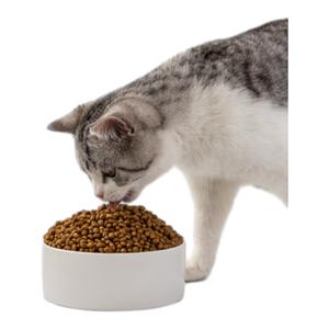Huisdierkatten Houden Van Een Verscheidenheid Aan Uit Voedingsoogpunt Uitgebalanceerde Eiwitrijke Beste Groothandel In Bulk Droog Kattenvoer - Product Image 1