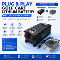 Batterie de chariot de golf au lithium LIRVO 72 volts, kit de conversion de batterie de chariot de golf au lithium 36 volts, 48v 60v 100ah 150ah 200ah avec chargeur