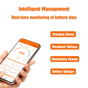 Customize Family Use Tricycle Electric 2 or 3 Wheel LifePO4 Lithium Lipo Motorcycles Battery 64V 40ah/45ah/50ah - Product Image 6