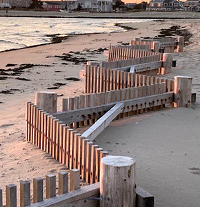 Estacas para la restauración de dunas de arena - Product Image 2