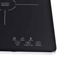 Brûleur de Table numérique intelligent, plaque de cuisson, cuiseur vapeur, friteuse, cuisson, marmite à Induction multiple