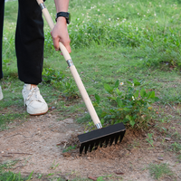 Ensemble de 3 outils de nettoyage en métal robustes avec manche en bois pour jardin et pelouse extérieurs