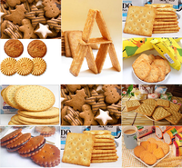 Mélangeur à pâte pour biscuits et gâteaux Skywin Industrial en acier inoxydable 150 kg