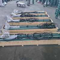 Pompe à eau submersible durable et fiable en fonte de 8 pouces, 80 m³/h, hauteur de refoulement 22 m, 7,5 kW, 380 V, pour puits profond et alimentation en eau potable
