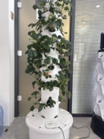 Équipement hydroponique Lyine pour légumes-feuilles, kit de culture domestique, jardin en tour d'intérieur avec éclairage LED pour la croissance