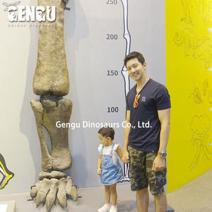 حفريات عظمية ديناصور غاسوسورس هيكل عظمي لديناصور معدني داخلي لمراكز التسوق والمطارات ومراكز الرعاية النهارية ومدارس رياض الأطفال - Product Image 3