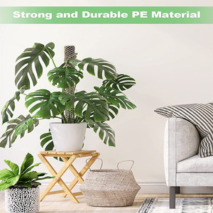 Kit de bâtonnets de mousse en plastique moderne de 12,6 pouces pour plantes en <span class=keywords><strong>pot</strong></span> d'intérieur et d'extérieur - Product Image 4
