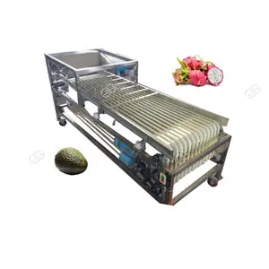 Máquina clasificadora de tomates Cherry | Máquina clasificadora rotativa multifuncional | Máquina clasificadora de frutas