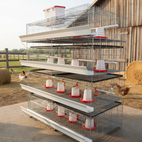 Nouvelle cage à poulets automatique en acier galvanisé de type H Linchuan Hebei, 3 à 8 niveaux, 80 kg, facile à nettoyer, durée de vie de 15 à 20 ans
