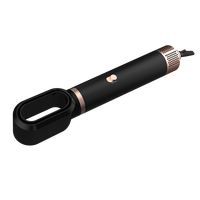 110V-240V OEM multi-fonction 3 en 1 peigne à air chaud pour cheveux bouclés et raides Styler à température constante avec ion négatif