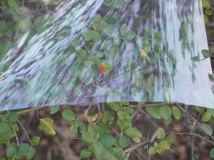 <span class=keywords><strong>Pellicola</strong></span> Plastica Laser per Serigrafia e <span class=keywords><strong>Disegno</strong></span> Tecnico, Miglior Prezzo, Vendita Diretta, Campioni Gratuiti - Product Image 2