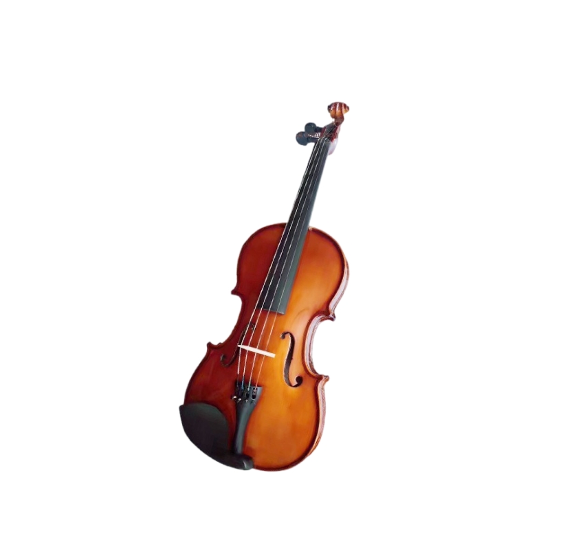 Factory Supply Adult and Children Violin Beginner Practice Violin