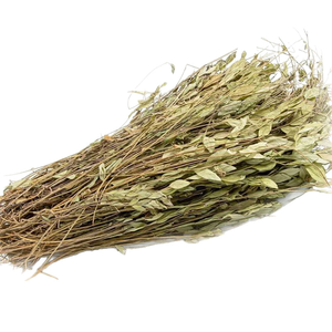 Plantes médicinales chinoises Gua Zi Jin, Herba Polygalae Sibiricae brute, <span class=keywords><strong>épices</strong></span> de haute qualité pour <span class=keywords><strong>la</strong></span> diététique - Product Image 1