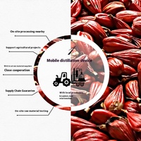 Huile essentielle distillée biologique de haute qualité 100% pure naturelle organique de qualité supérieure aromathérapie soins de la peau graines en gros Longoza