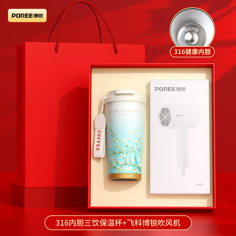 Van Gogh-530 Cup Bravo Sèche-cheveux T2 Boîte Rouge