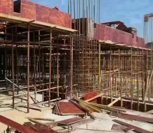 Panneaux <span class=keywords><strong>de</strong></span> construction en contreplaqué peuplier filmé 1220x2440x18mm, qualité supérieure E1, pour usage intérieur, 1 an <span class=keywords><strong>de</strong></span> garantie - Product Image 5