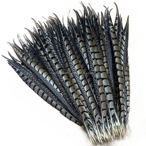 Plumas de Faisán Lady Amherst de 35-40cm al por Mayor, Plumas Naturales para Decoración de Fiestas de Carnaval, Centros de Mesa - Product Image 5