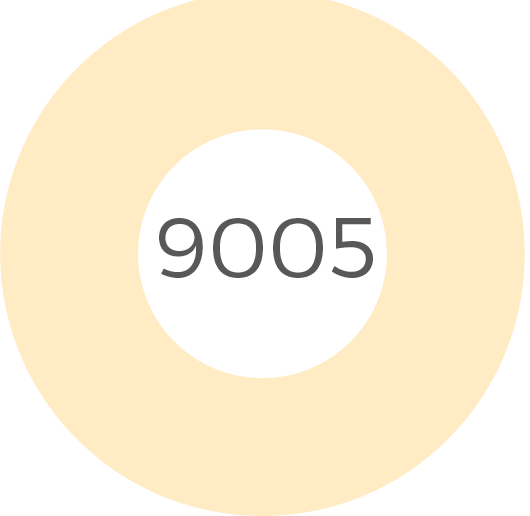 9005