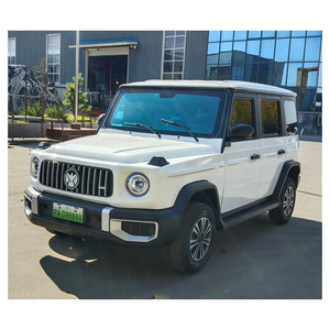Vehículo Eléctrico Todoterreno G SUV CE de Calidad con Logotipo Personalizado, Vehículo Eléctrico de Nueva Energía de 5kw, Electromóvil Todoterreno de 3500w, Coche Eléctrico de 4 Ruedas y 500kw para Adultos - Product Image 4