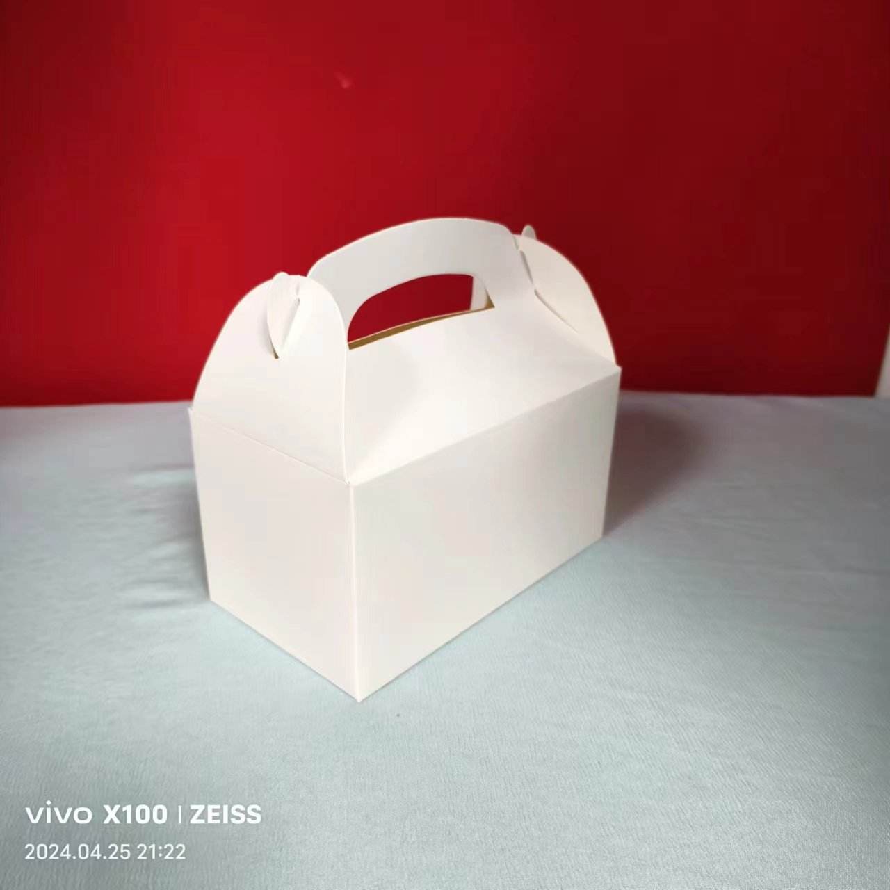 Mallette de transport en corne blanche