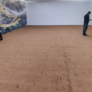 Sang trọng hiện đại đơn giản khách sạn phòng khách tường-to-tường Thảm dày Polypropylene hoàn toàn bao phủ máy làm nhà tường Thảm - Product Image 5